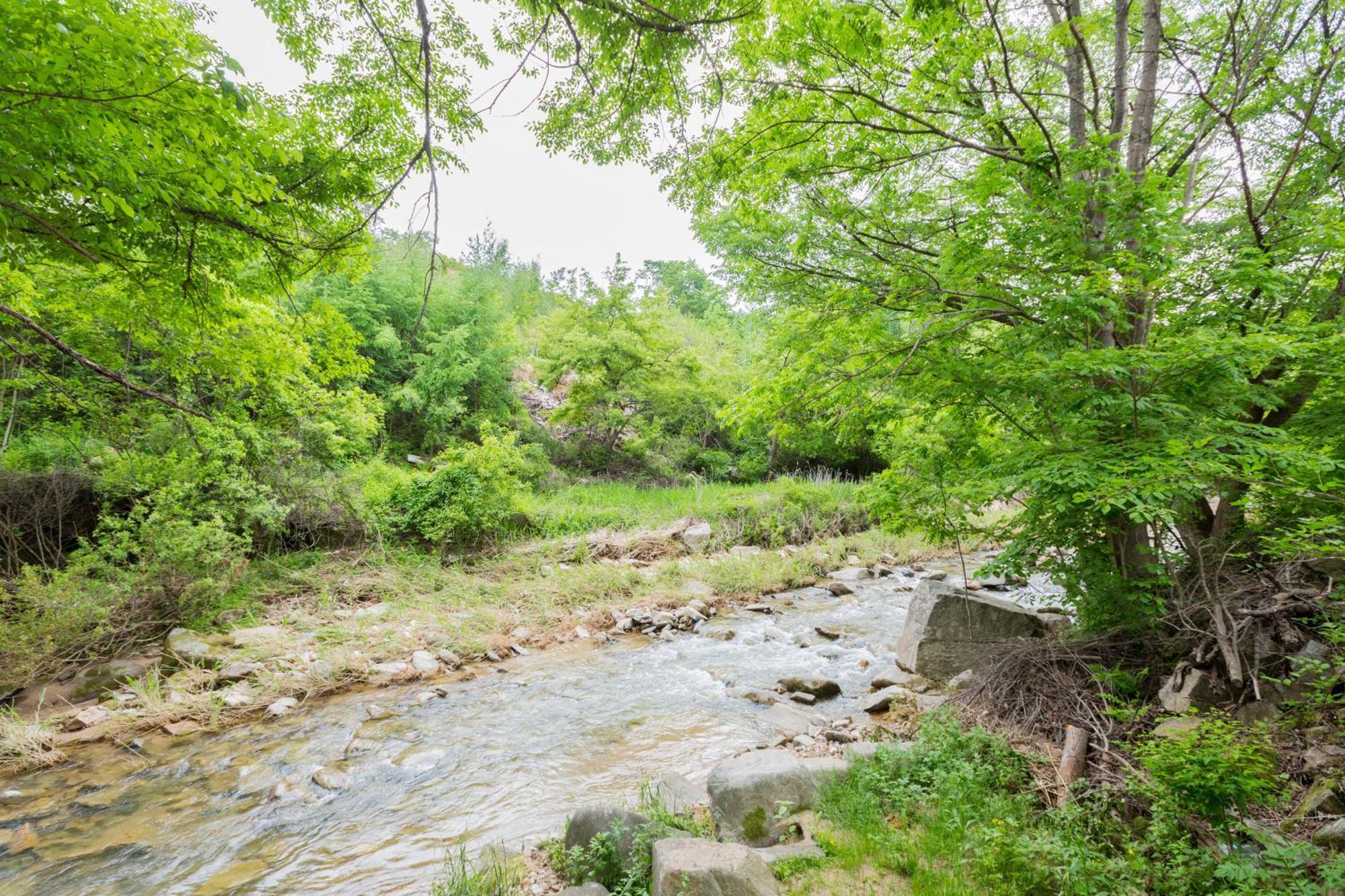 Bongpyeong Moolsori Pension Pyeongchang